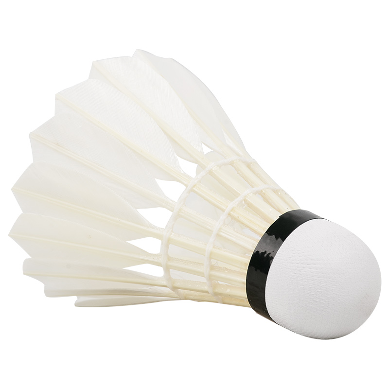 ใหม่12ชิ้นมืออาชีพลูกขนไก่ G20 - Badminton Youtube บทวิจารณ์และราคา