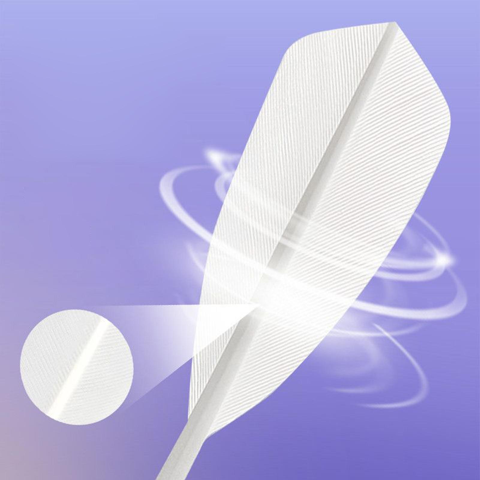 ลูกขนไก่แบดมินตันสำหรับฝึกซ้อม - Badminton Youtube บทวิจารณ์และราคา